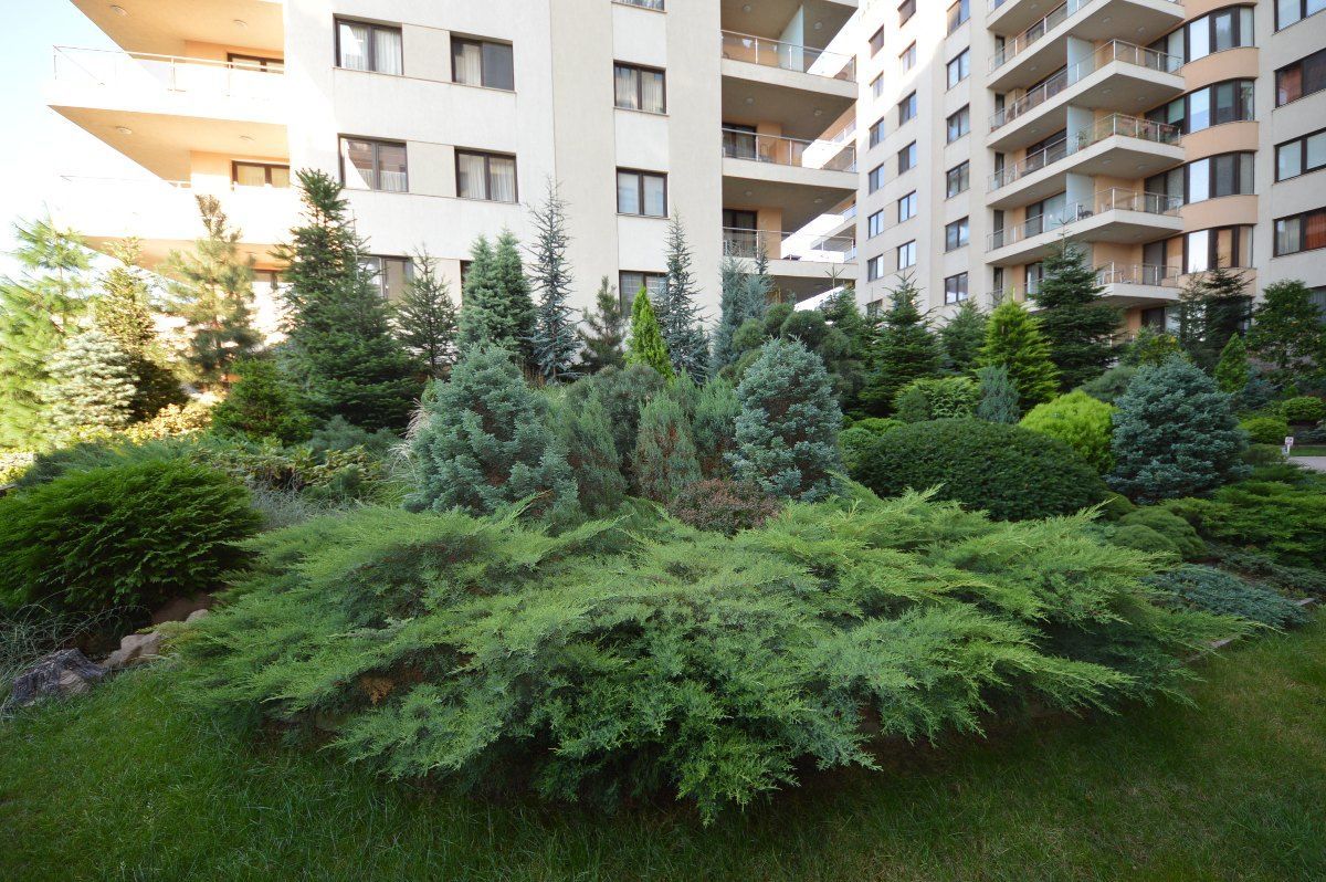 North Area Lake View | 2 camere spațioase cu vedere la grădina