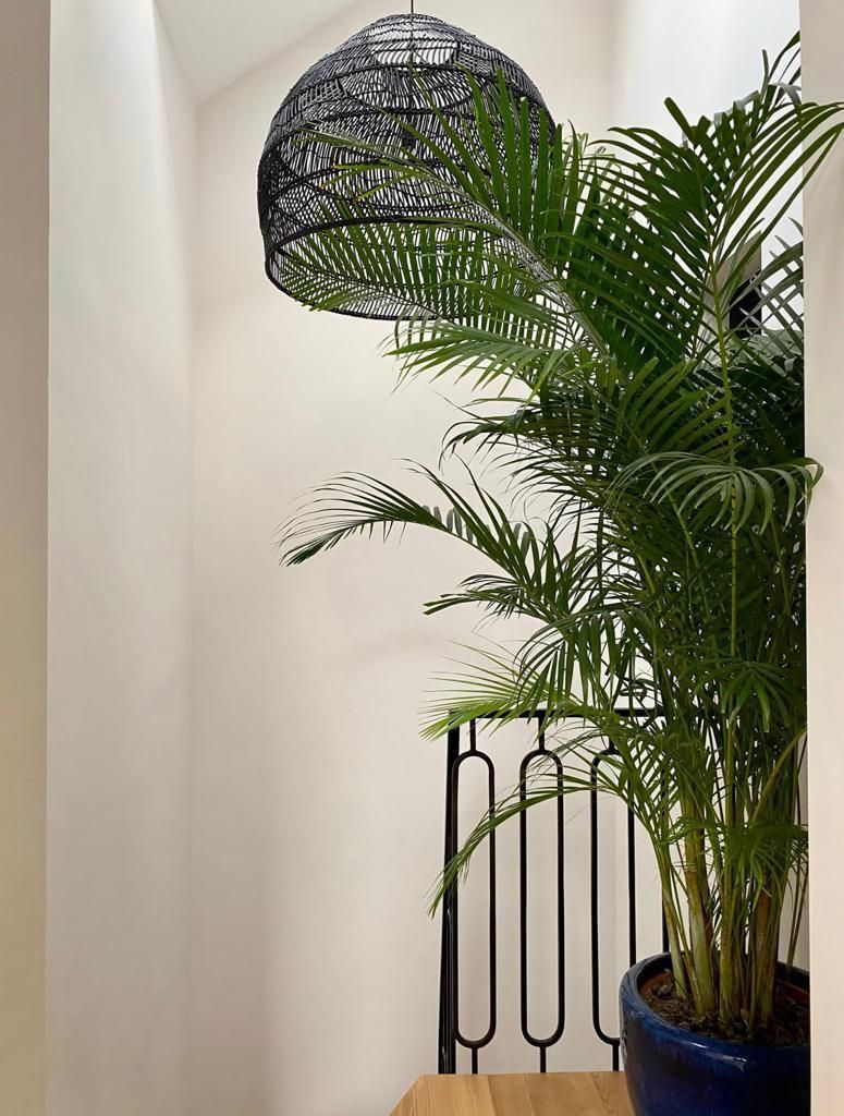 Casa individuala | Floreasca | Lux | Grădina Proprie