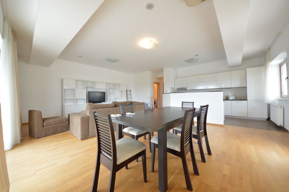 Aron Cotrus | Satul Francez | 4 camere | Vedere Parc Herastrau