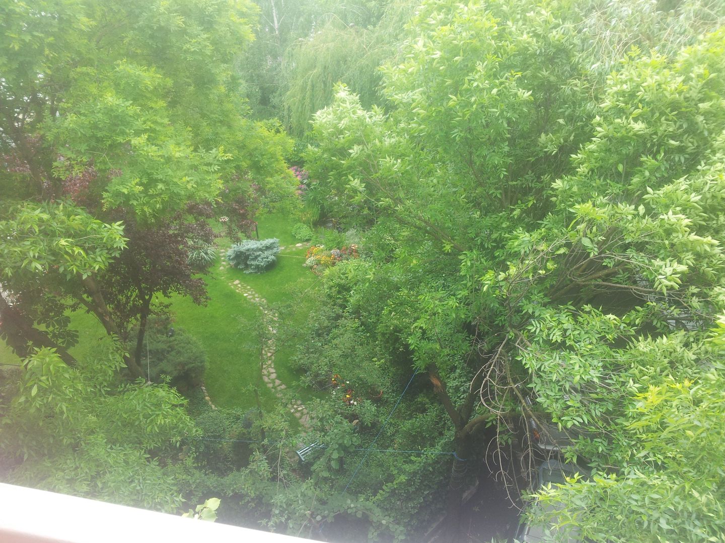 5 room Apartment for rent