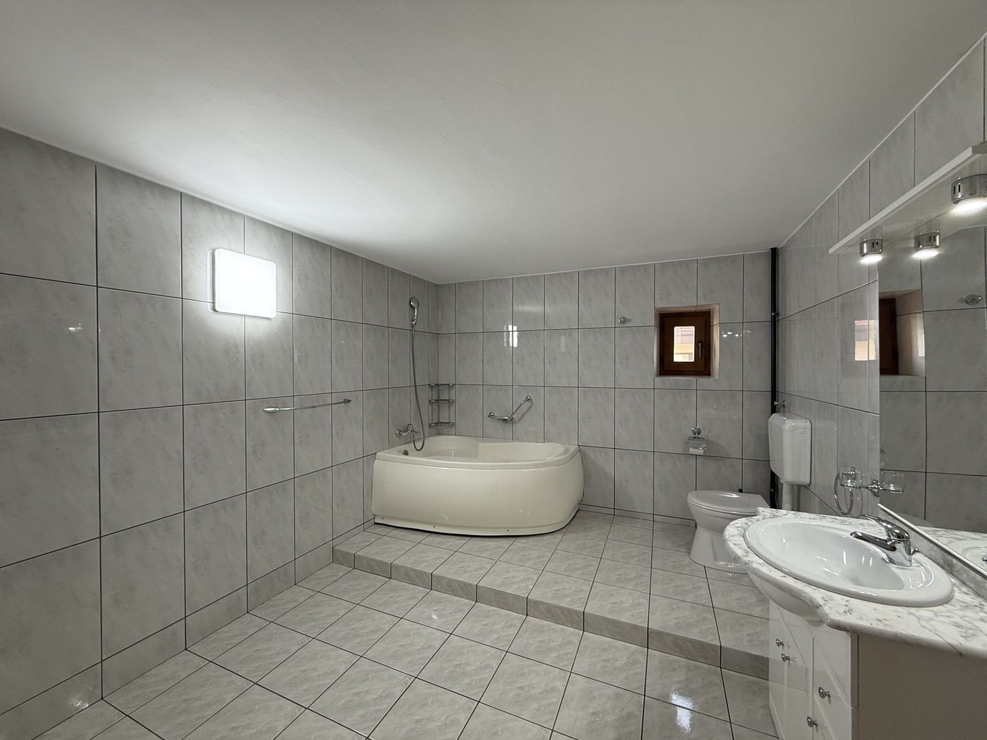 Vila spațioasă în Sisesti | 600 mp | 9 locuri de parcare | Teren 1500 mp