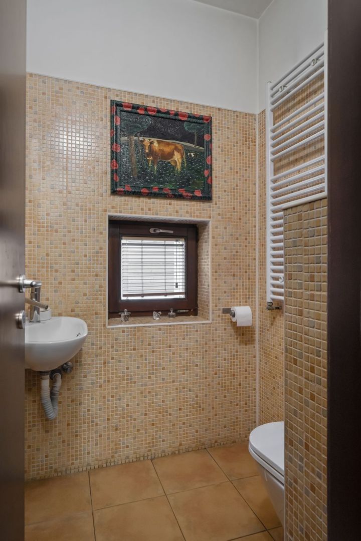 ARTSY LAKEFRONT VILLA | BANEASA