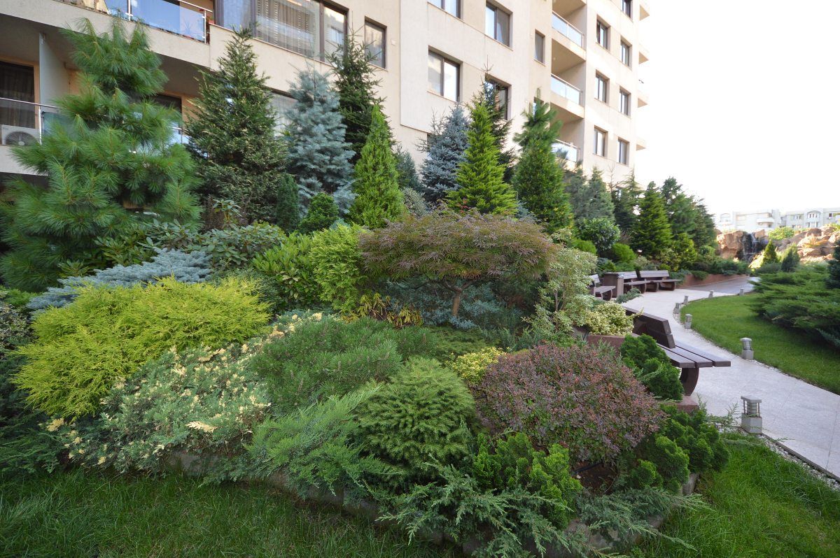 North Area Lake View  | 2 camere spațioase cu vedere la grădina