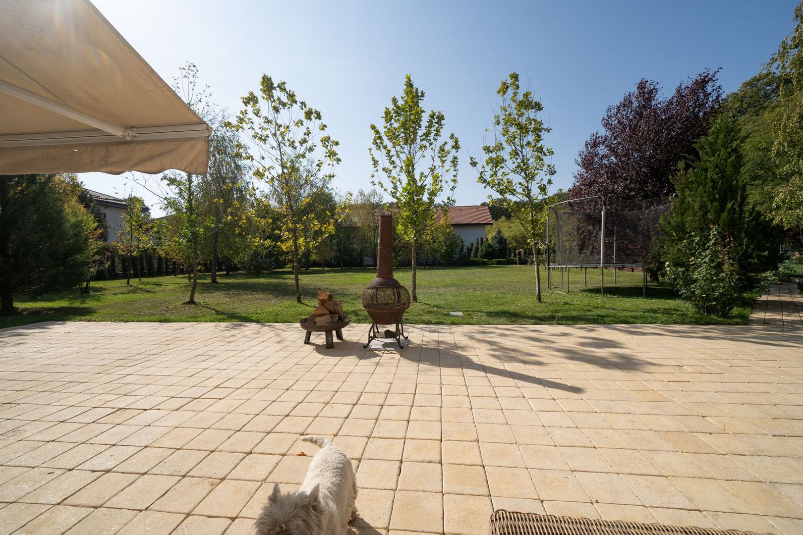 Corbeanca | Conac langa padure cu teren 4000 mp | Piscina