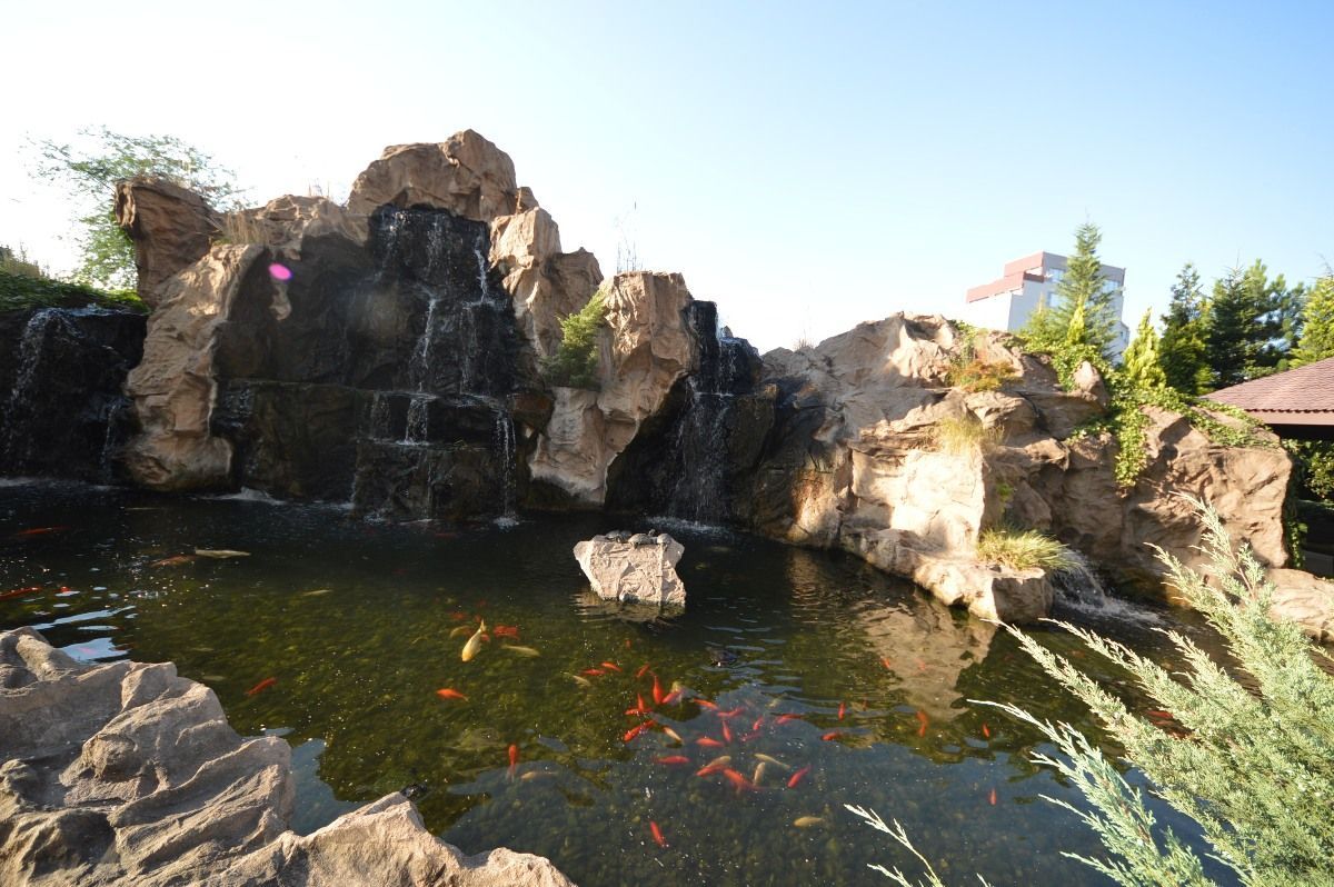 North Area Lake View  | 2 camere spațioase cu vedere la grădina