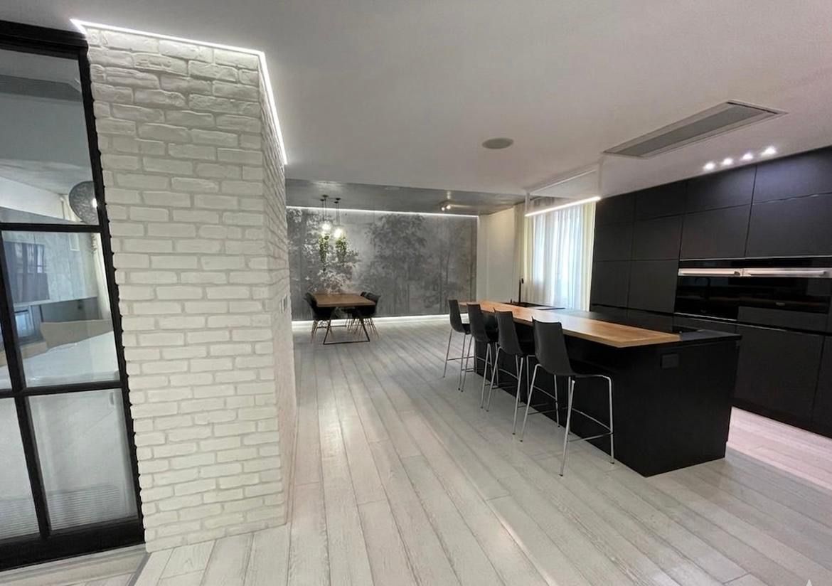 Penthouse with rooftop in Herastrau | Satul Francez