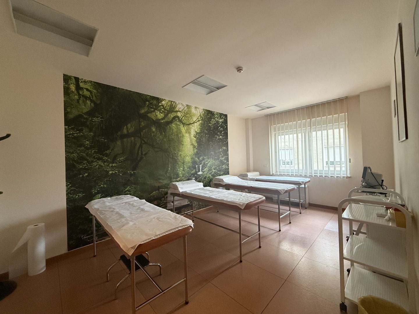 Spațiu pretabil Clinică medicală | Birouri | Notariat | Herăstrău