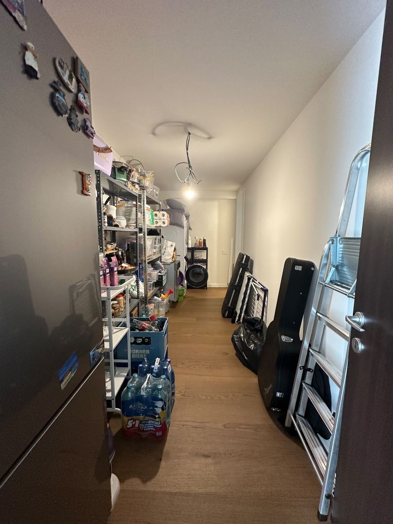 Penthouse spectaculos cu 3 dormitoare și terasă de 250 mp | Zona Herăstrău