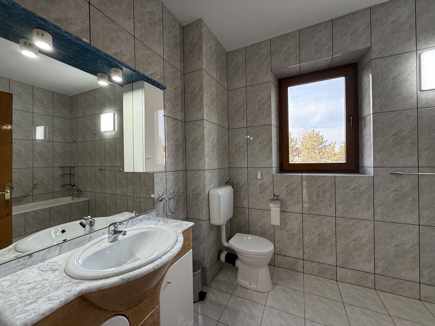 Vila spațioasă în Sisesti | 600 mp | 9 locuri de parcare | Teren 1500 mp