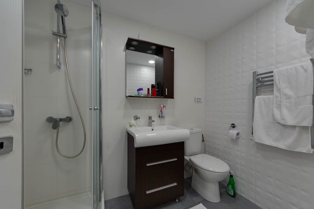 Villa Hellianthus | In the CENTER of the most wanted district of Bucharest