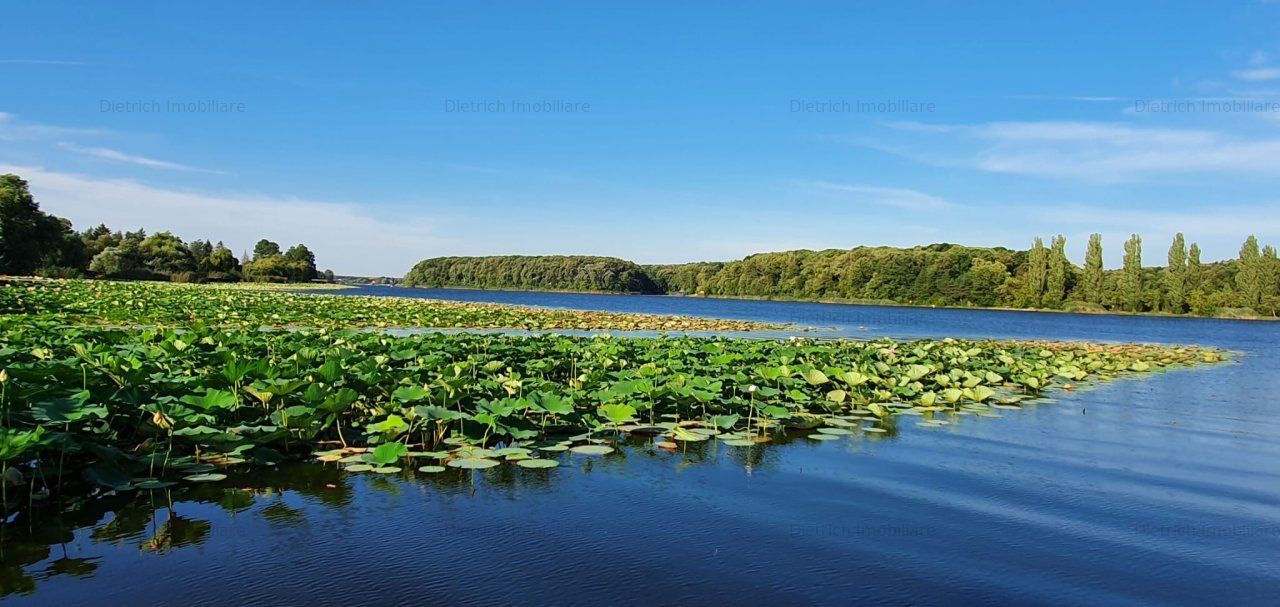 Snagov | Casa cocheta cu teren 1000 mp | Deschidere lac | Ponton | Garaj barca