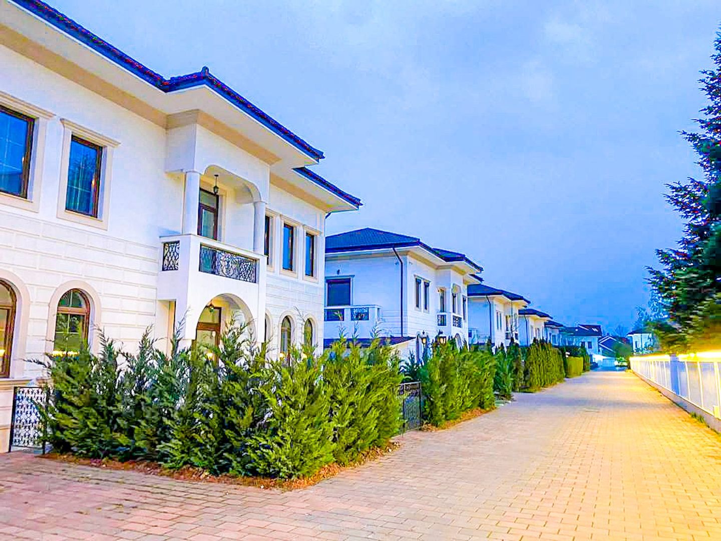 Special villa on Iancu Nicolae I Garage 2 cars and yard 500 sqm