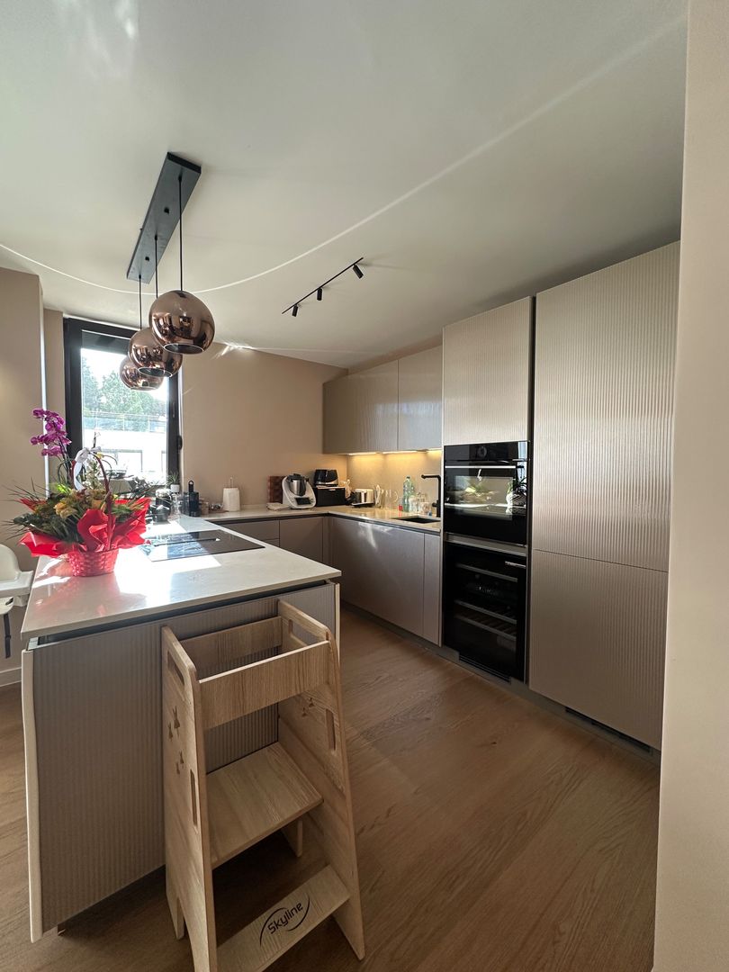 Penthouse spectaculos cu 3 dormitoare și terasă de 250 mp | Zona Herăstrău
