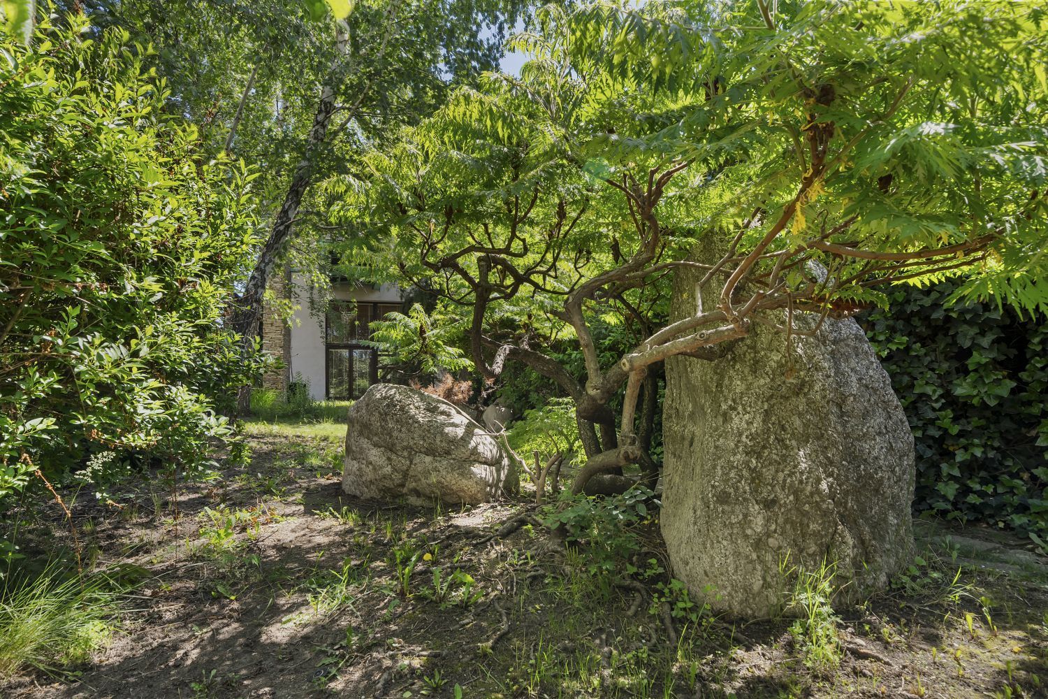 ARTSY LAKEFRONT VILLA | BANEASA