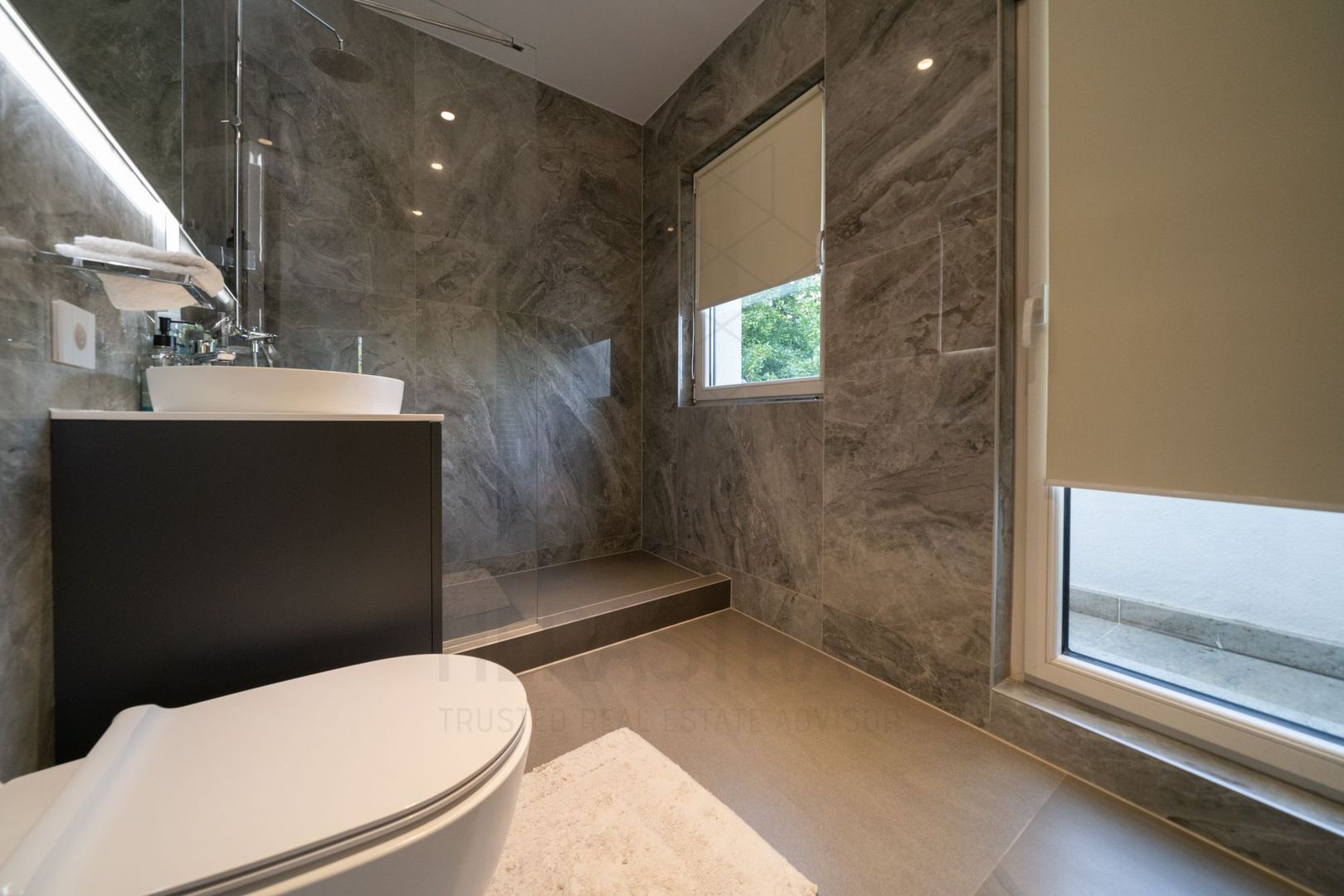 Villa for sale | Dorobanti | Charles de Gaulle Plaza