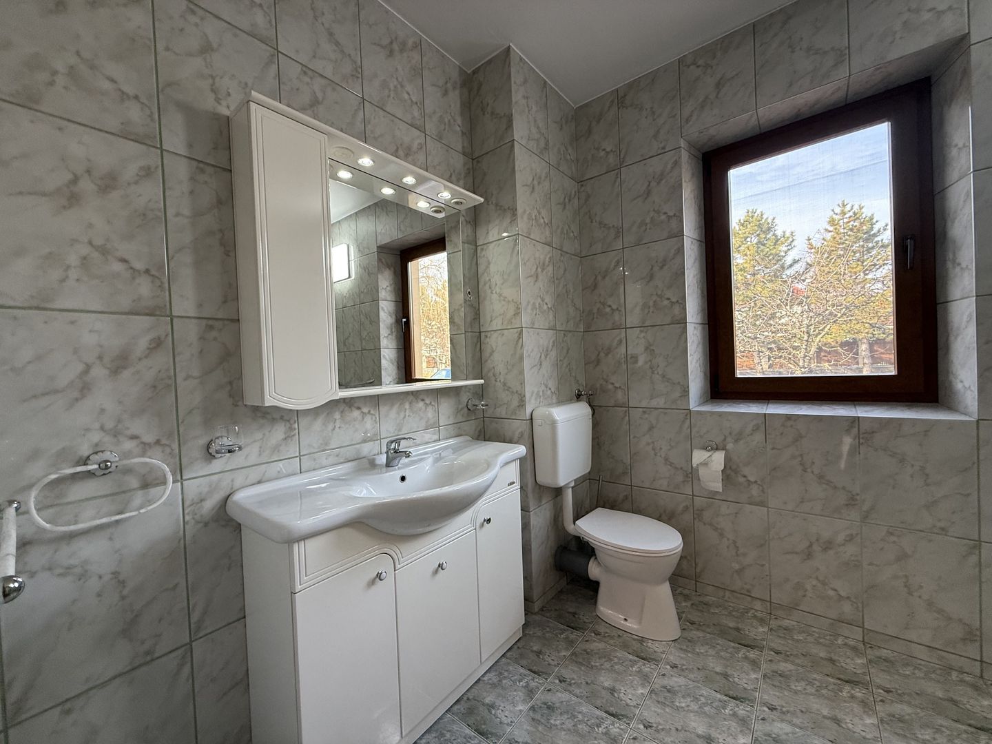 Vila spațioasă în Sisesti | 600 mp | 9 locuri de parcare | Teren 1500 mp